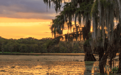 Your Acadiana Hit List: 5 Things to See When Visiting South Louisiana in the Summer