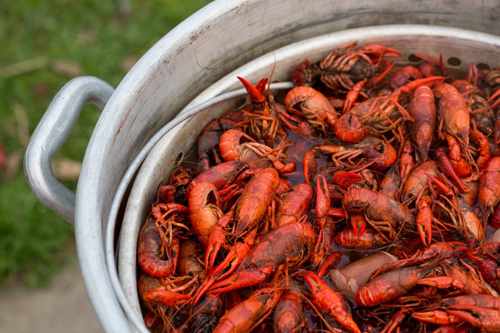 Mudbug Magic 3 Unconventional Ways To Boil Your Crawfish The Best 